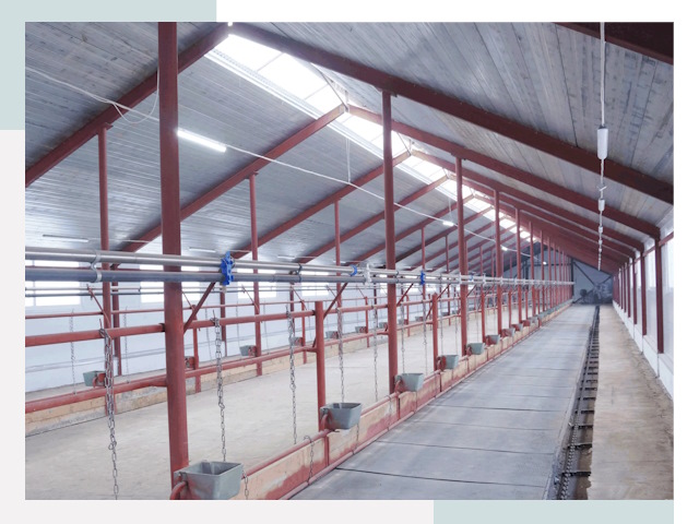 Строительство коровников в Белореченске от 609 руб.