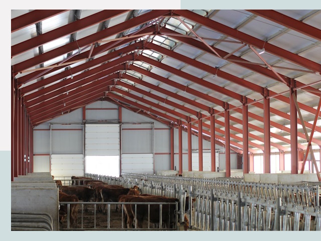 Строительство коровников в Белореченске