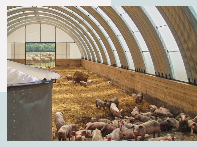 Строительство свинарников в Белореченске